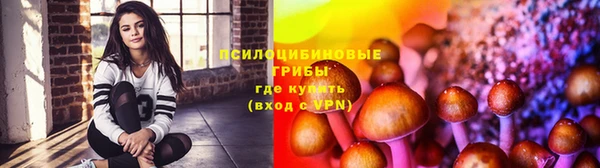 ешки Лагань