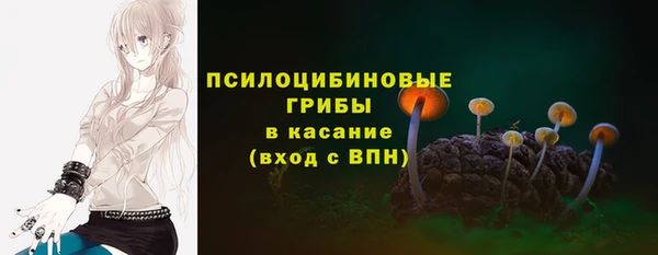ешки Лагань