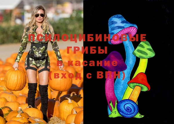 меф Ладушкин
