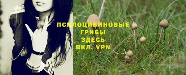 меф Ладушкин