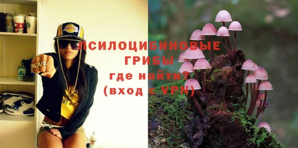 ешки Лагань